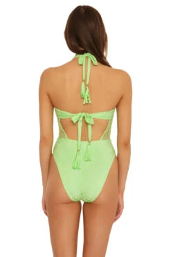 Maillot Halter Plunge One Piece Swimsuit -Swimming Gear Shop 4091034 One Piece Swimsuit Pistachio Back1