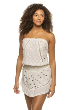 Lush Embroidered Mini Dress