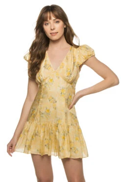 LoveShackFancy Russ V-Neck Mini Dress